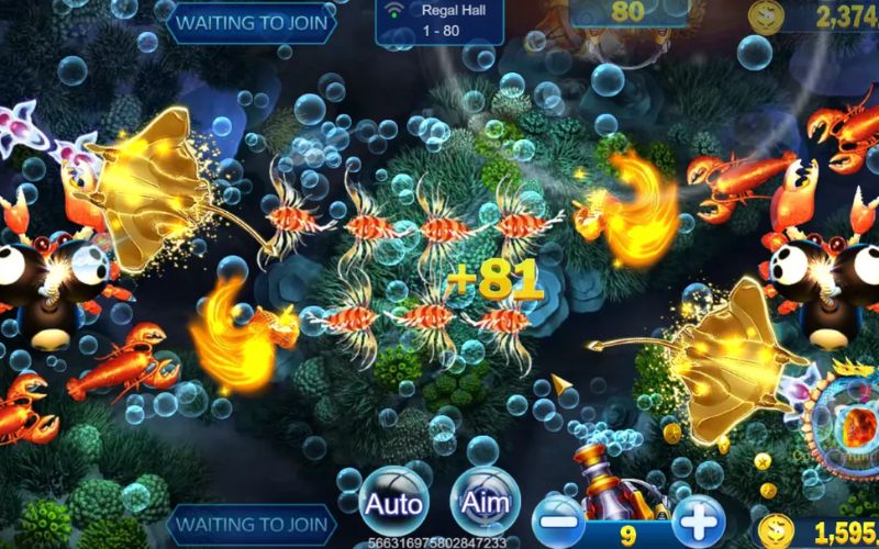 Bắn cá hấp dẫn