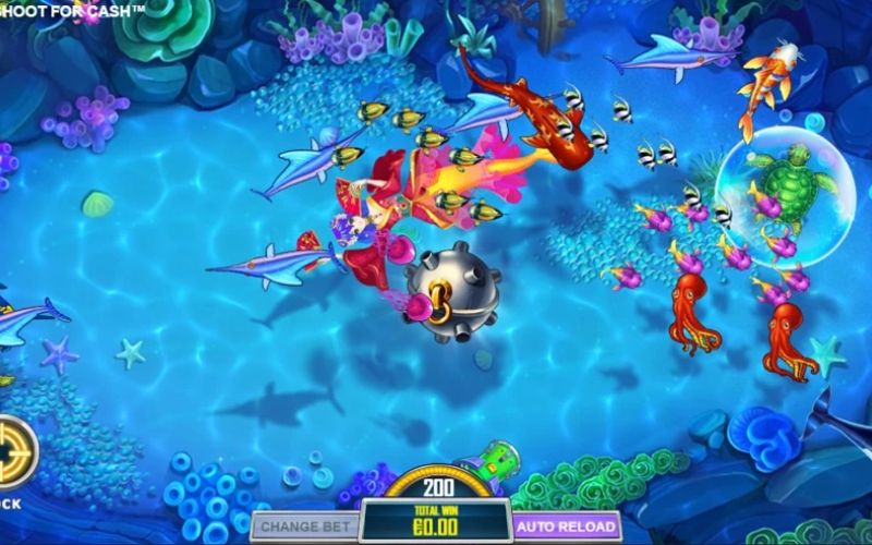 Mẹo chơi bắn cá hiệu quả – Giữ đạn ít, trúng cá to